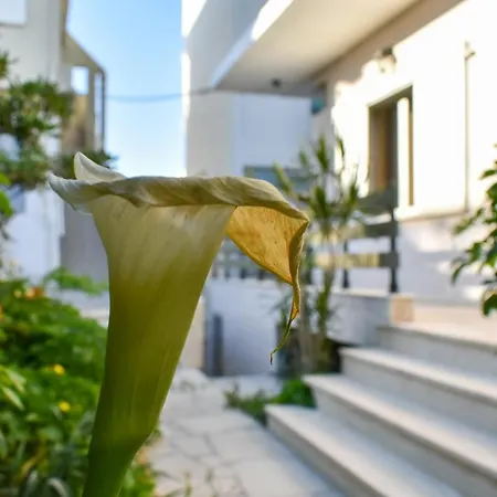 Semesterbostad Anastasia Mare #a# Rethymno